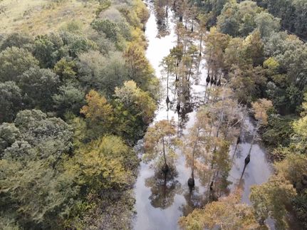 Farm and Ranch in Lonoke County, Arkansas