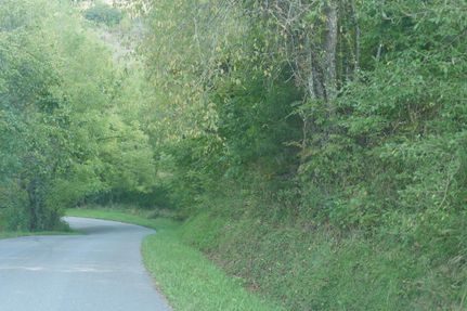 Land in Lee County, Virginia