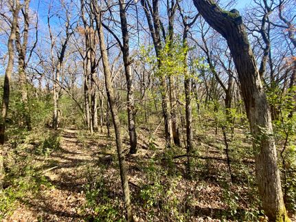 Undeveloped Land in Olmsted County, Minnesota
