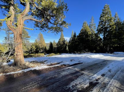 Undeveloped Land in Klamath County, Oregon