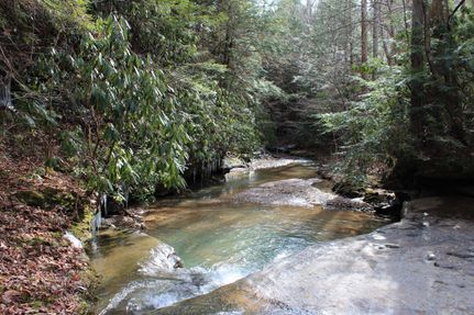 Hunting Property in Morgan County, Kentucky