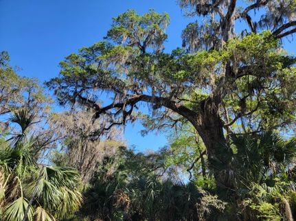 Land in Sumter County, Florida