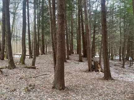 Recreational Property in Crawford County, Pennsylvania