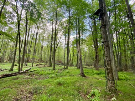Farm and Ranch in Oakland County, Michigan