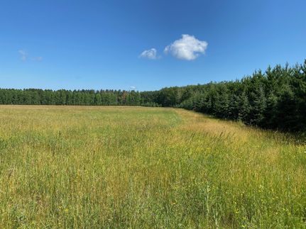 Timberland Property in Aitkin County, Minnesota