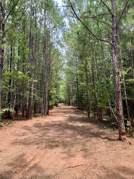 Farm and Ranch in Wilkes County, Georgia