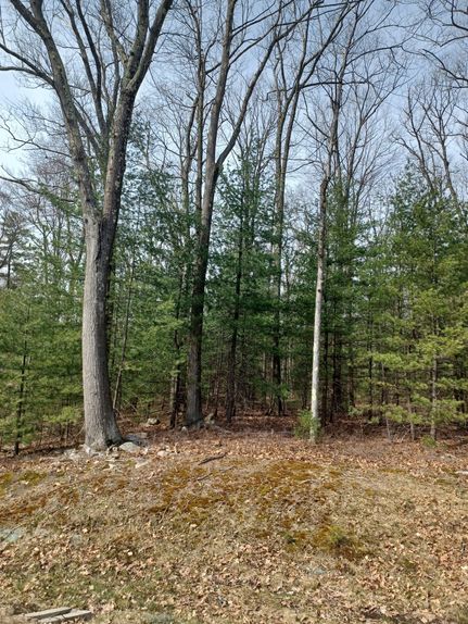 Farm and Ranch in Centre County, Pennsylvania