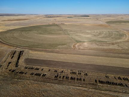 Farm and Ranch in Logan County, Colorado