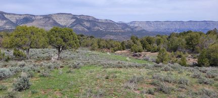 Farm and Ranch in Mesa County, Colorado