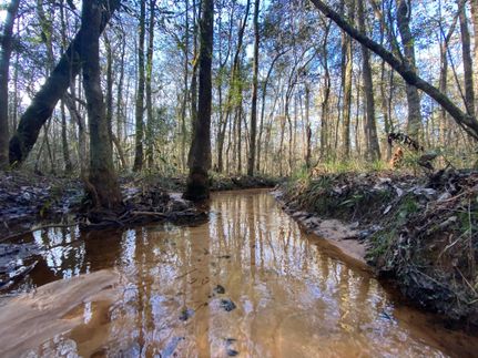 Timberland Property in Coffee County, Alabama