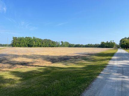 Timberland Property in Jones County, North Carolina