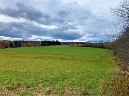 Undeveloped Land in Allegany County, New York