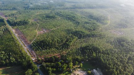 Land for sale in Nassau County, Florida