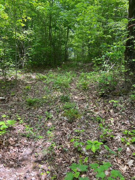 Farm and Ranch in Overton County, Tennessee