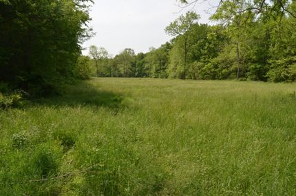 Commercial Property in Camden County, Missouri