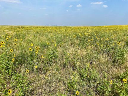 Farm and Ranch in Kit Carson County, Colorado