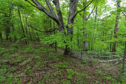 Recreational Property in Franklin County, Kentucky