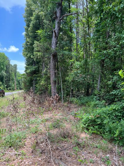 Farm and Ranch in Van Buren County, Arkansas