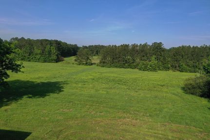 Undeveloped Land in Saint Helena Parish, Louisiana