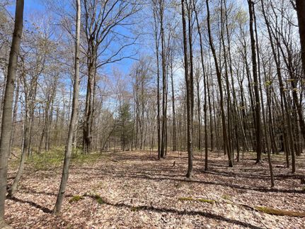 Recreational Property in Erie County, New York