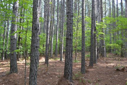 Recreational Property in Pittsylvania County, Virginia
