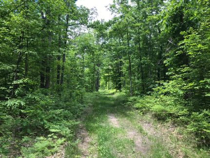 Farm and Ranch in Alcona County, Michigan