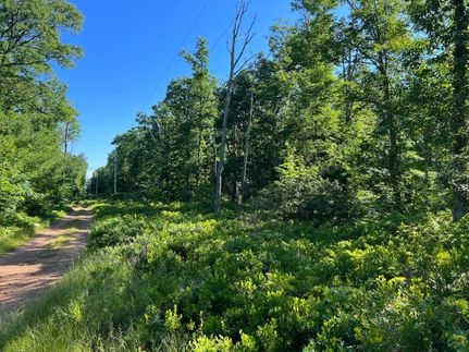 Timberland Property in Luzerne County, Pennsylvania