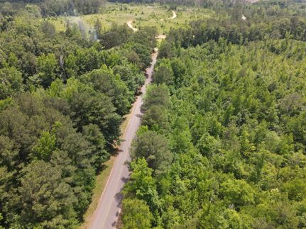 Undeveloped Land in Ouachita County, Arkansas