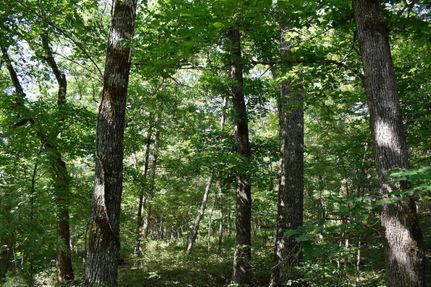 Land in Taney County, Missouri