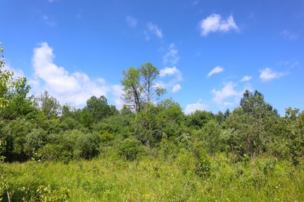 Land in Montgomery County, New York