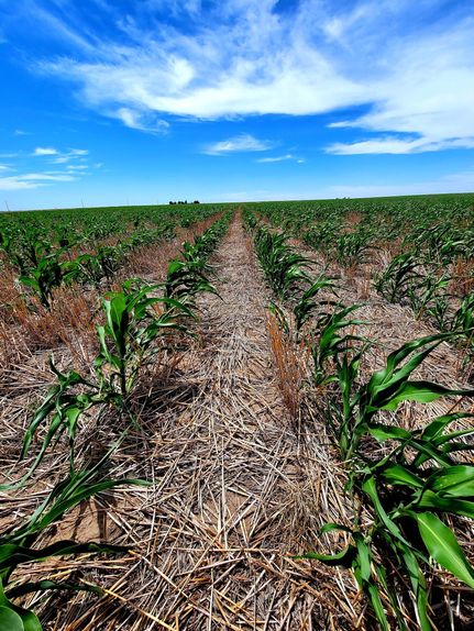 Farm and Ranch in Rawlins County, Kansas