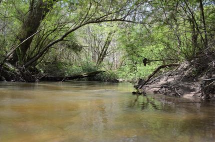 Land in Washington Parish, Louisiana