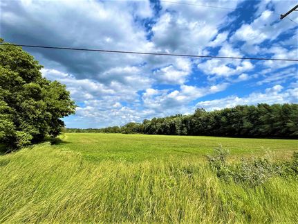 Undeveloped Land in Orleans County, New York
