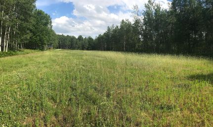 Timberland Property in Gladwin County, Michigan