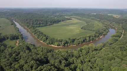 Timberland Property in Martin County, Indiana