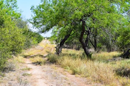 Land in Jim Wells County, Texas
