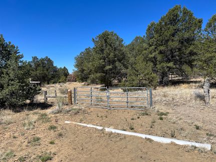 Farm and Ranch in Cibola County, New Mexico