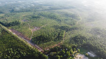 Land for sale in Nassau County, Florida