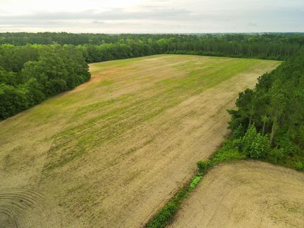 Timberland Property in Dillon County, South Carolina