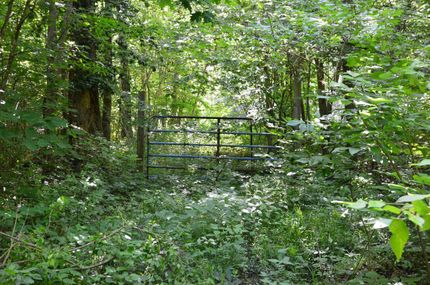 Land in Jackson County, Illinois