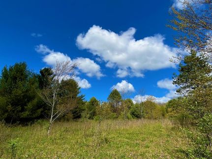 Timberland Property in Allegany County, New York