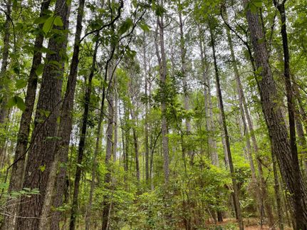 Commercial Property in Columbia County, Arkansas