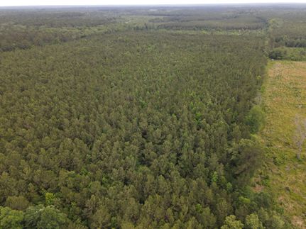 Undeveloped Land in Union County, Arkansas