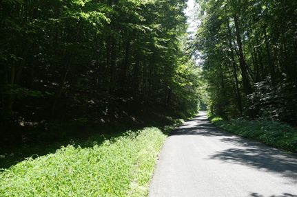 Timberland Property in Washington County, Virginia