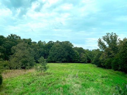 Undeveloped Land in Laurens County, South Carolina