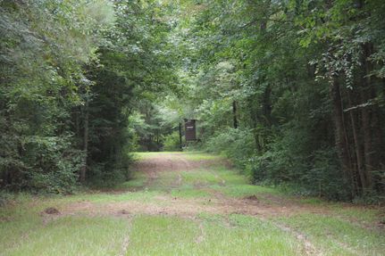 Timberland Property in Jefferson Davis County, Mississippi