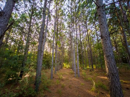 Recreational Property in Houston County, Georgia