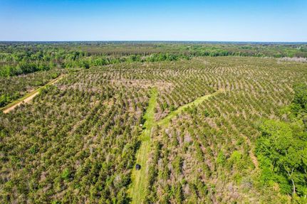 Land in Morehouse Parish, Louisiana