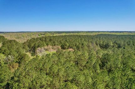 Land in Amite County, Mississippi