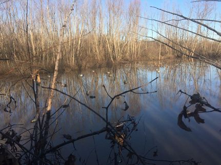 Recreational Property in Tunica County, Mississippi